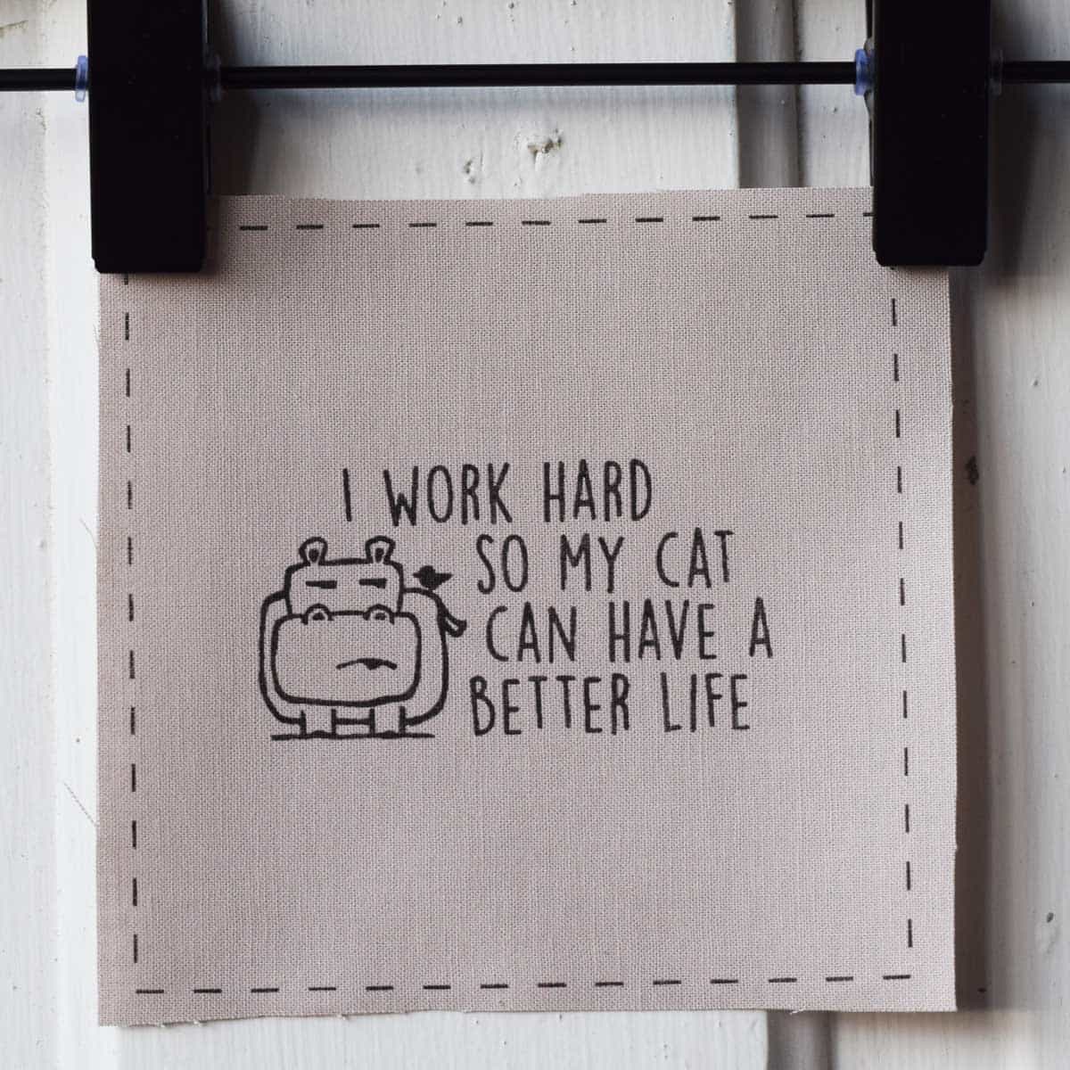 I work hard so my cat can have a better life—Salty Square