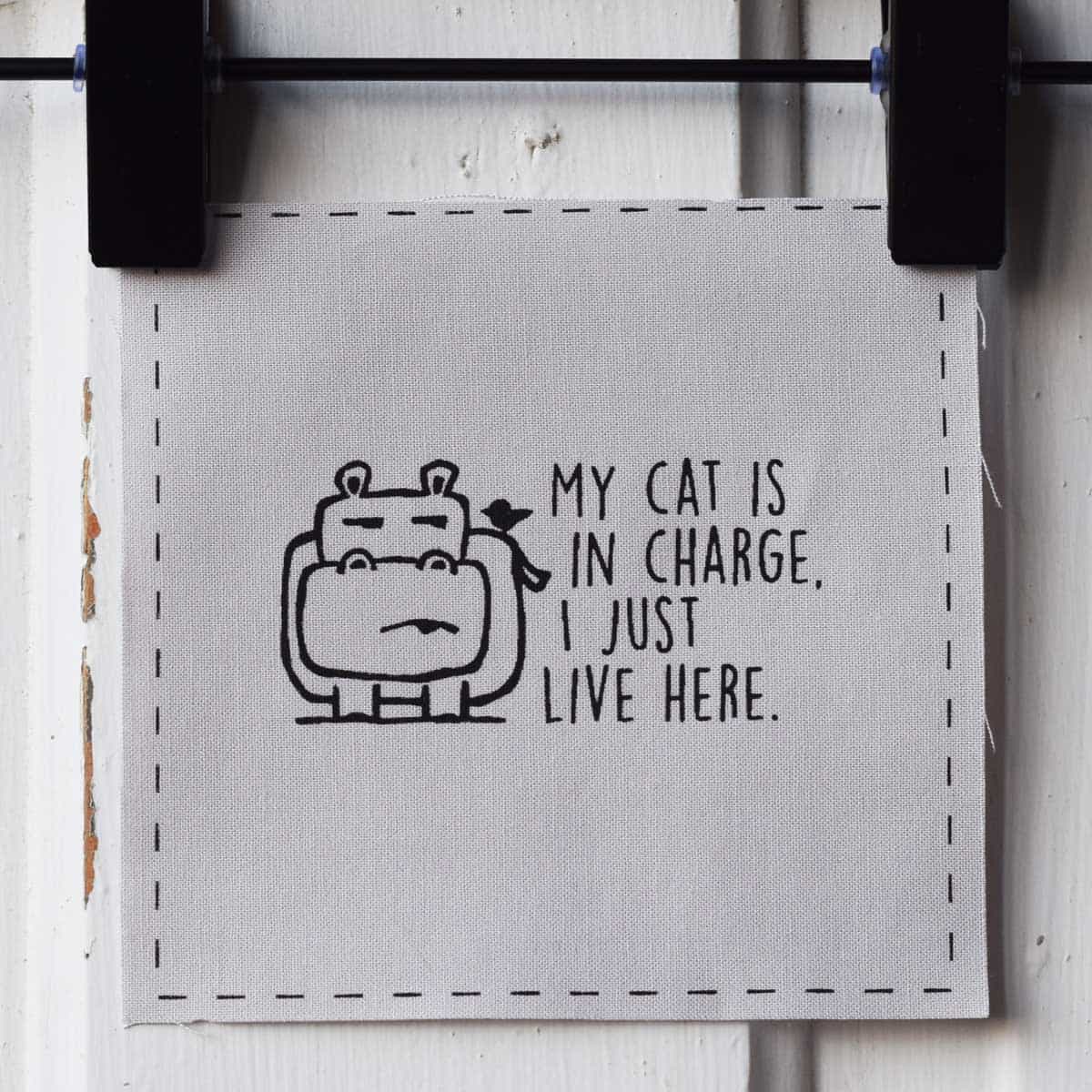 My cat is in charge, I just live here—Salty Square