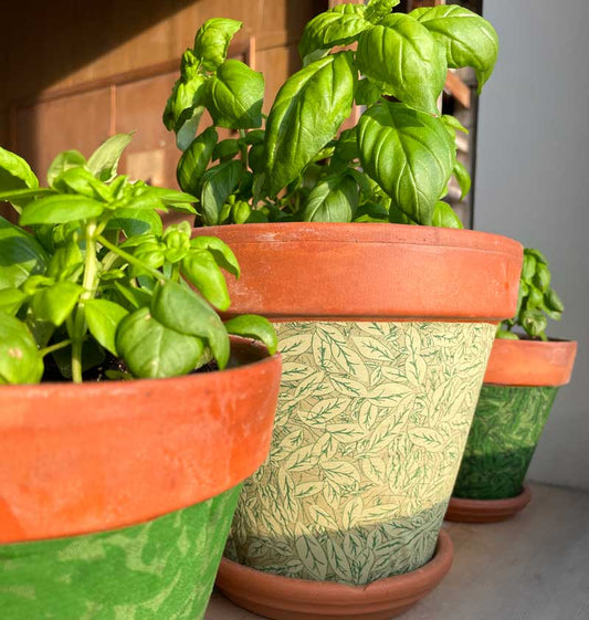 The Salty News: May 2021