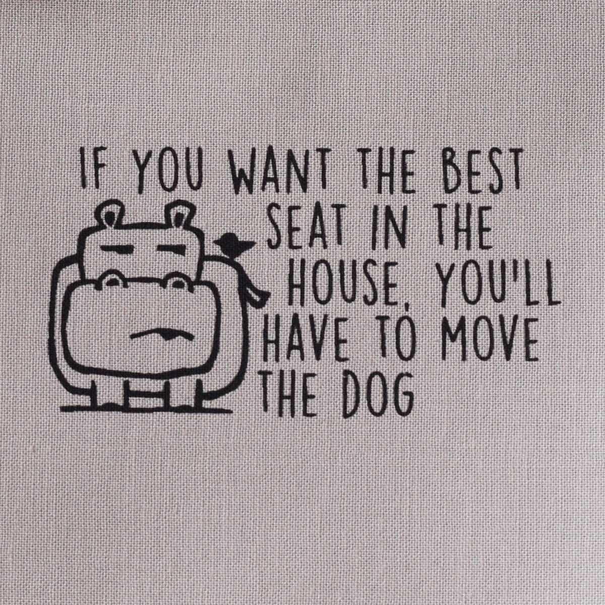 If you want the best seat in the house, you'll have to move the dog—Salty Square