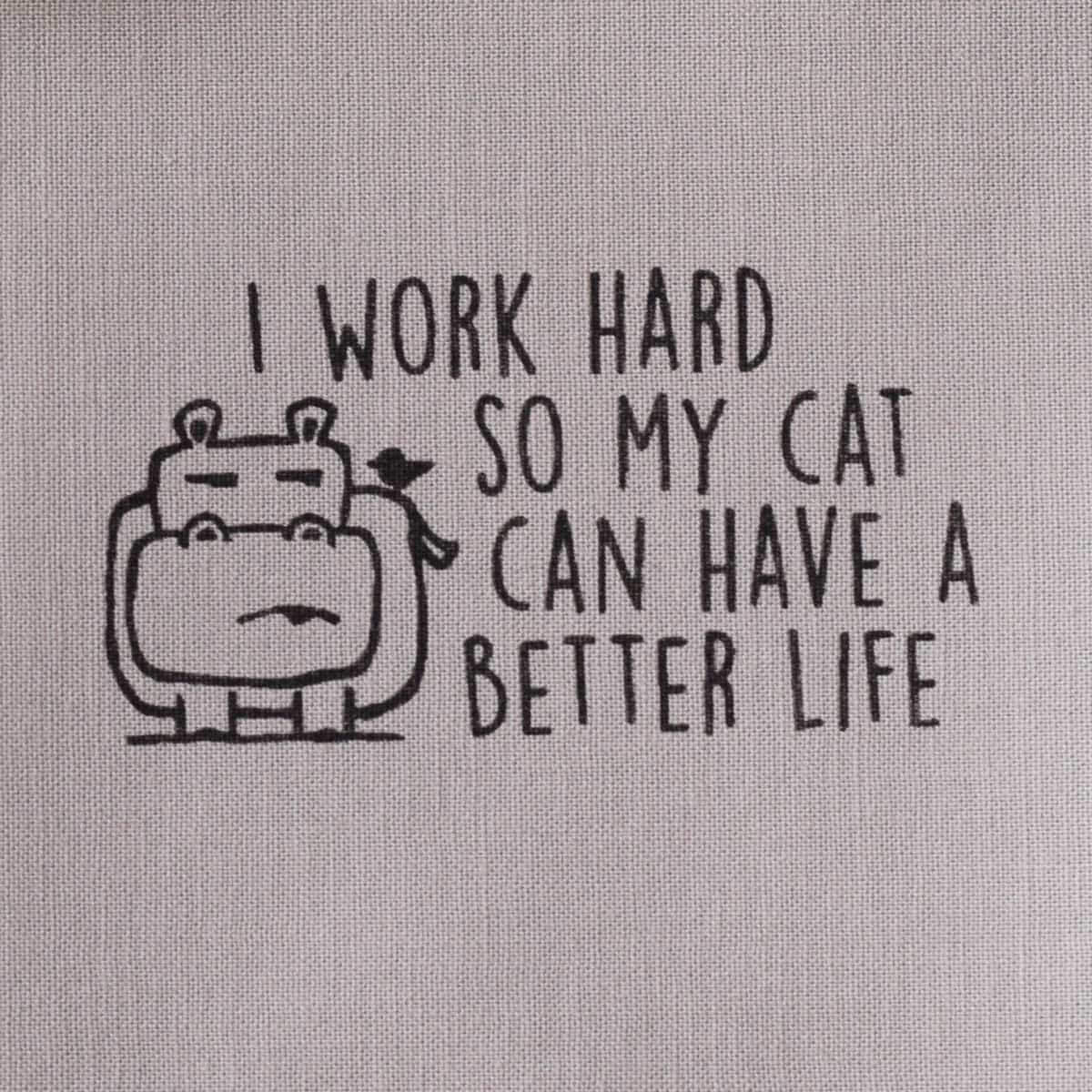 I work hard so my cat can have a better life—Salty Square