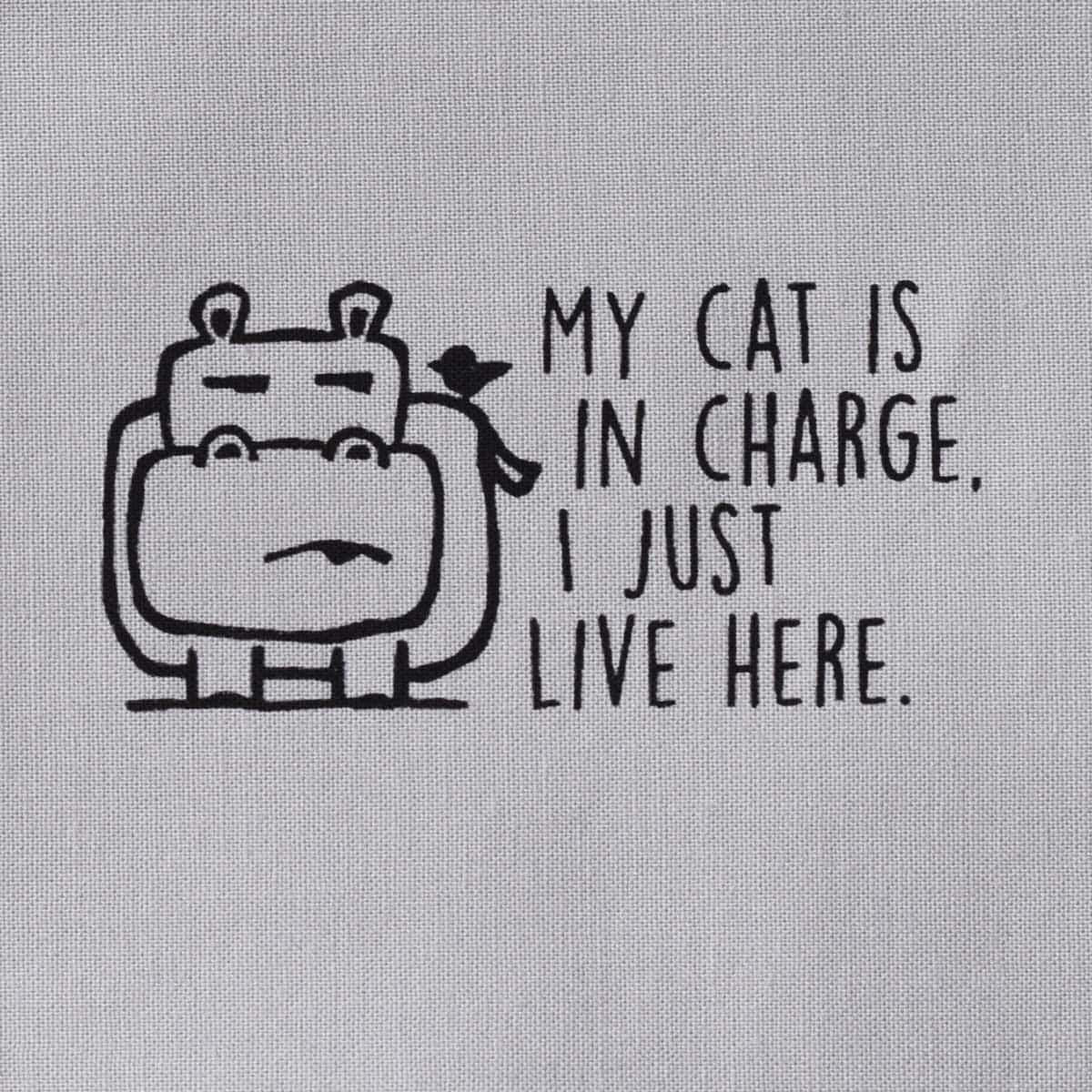 My cat is in charge, I just live here—Salty Square