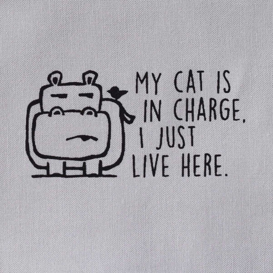 My cat is in charge, I just live here—Salty Square