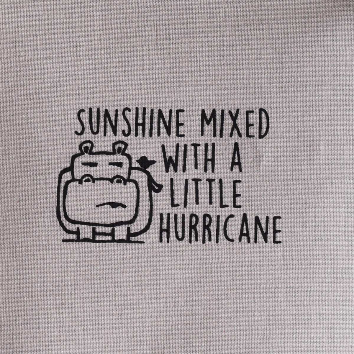 Sunshine mixed with a little hurricane—Salty Square