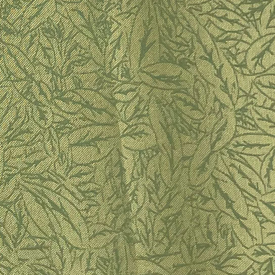 Leaf Outline