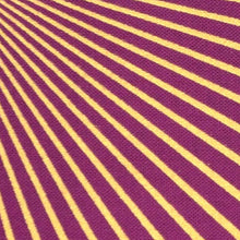 Load image into Gallery viewer, Starburst
